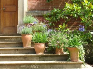 House front design with flower pots