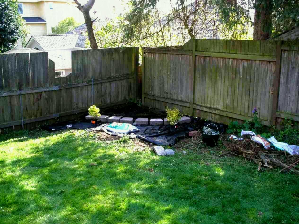backyard design ideas