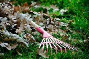 Yard Care Tools