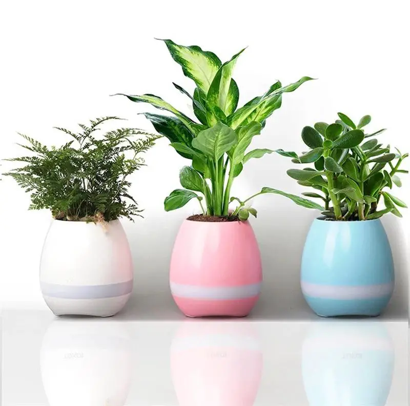 42 Beautiful Flower Pots for Tiny Terrace and Garden