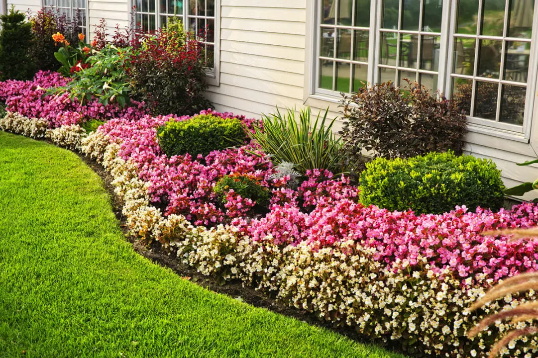 Flower Bed Ideas