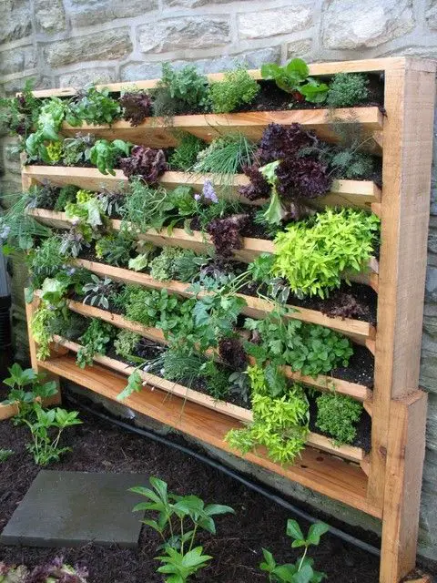 Front Wall Wood Vertical Garden Ideas