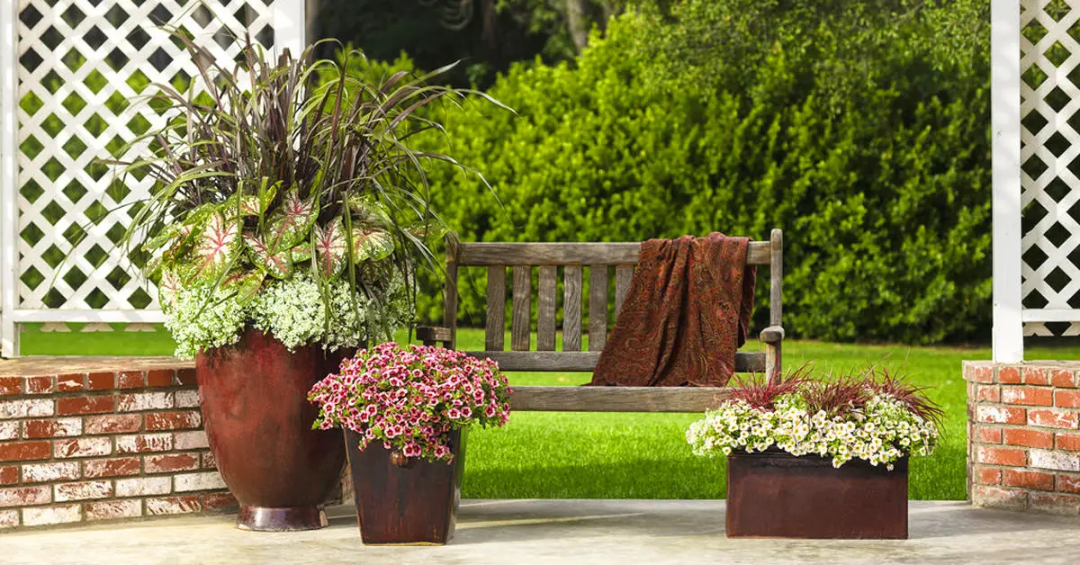 Garden and pots