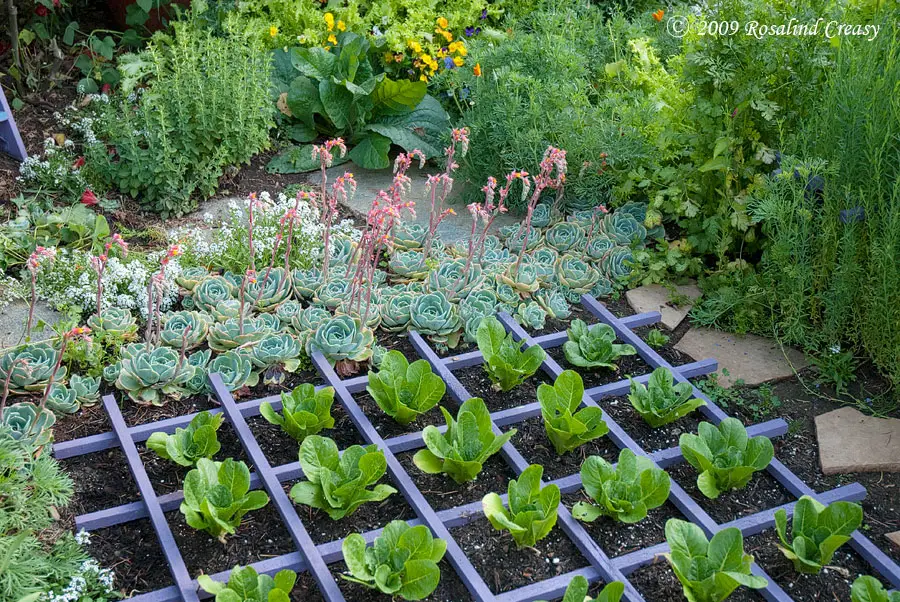 vegetable garden