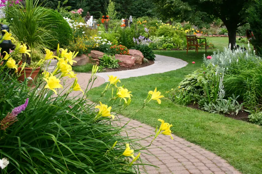 beautiful garden with patio paver