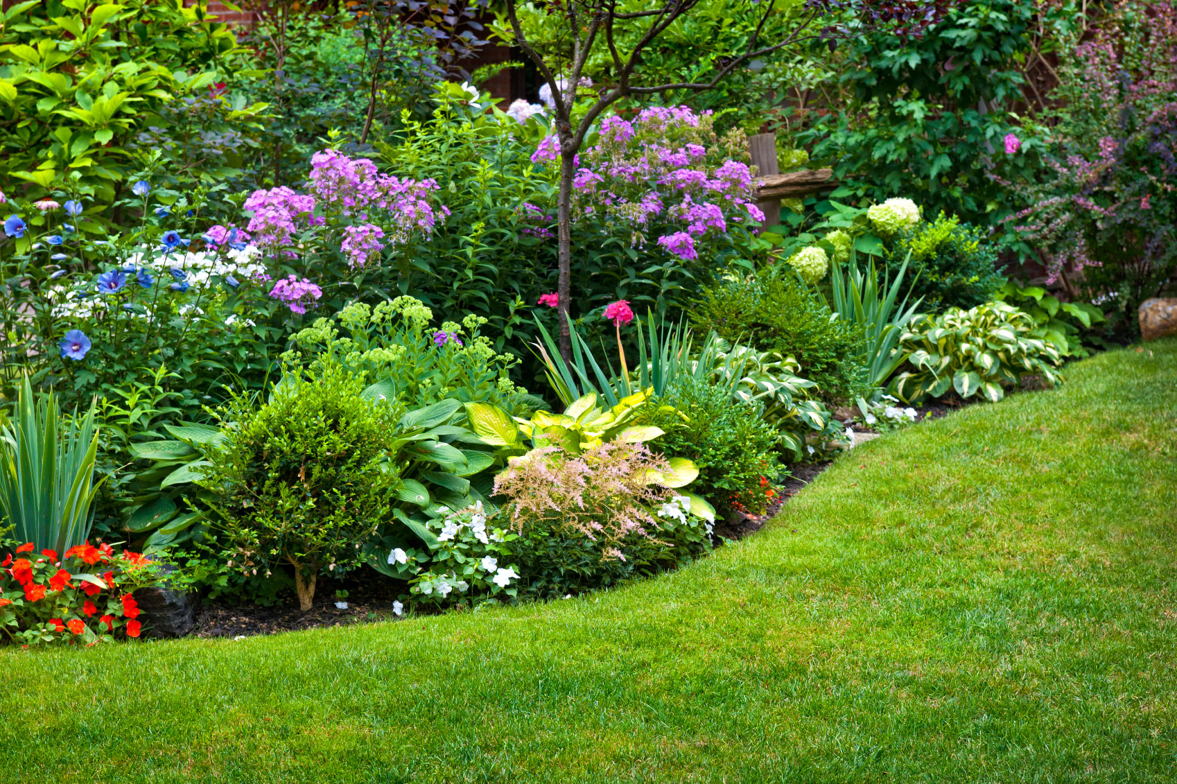 garden with grass and flower ideas