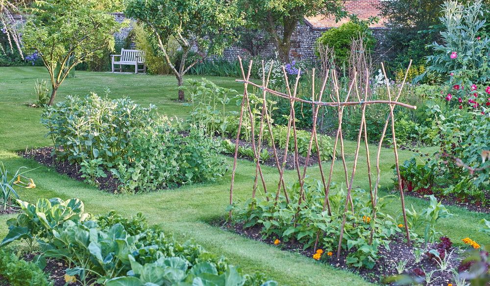 vegetable and herb garden