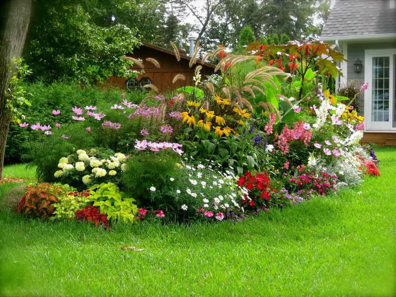 Home Gardening with beautiful flower