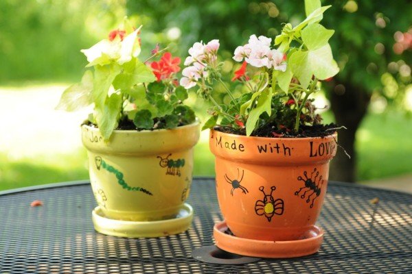 Mini Pots For Terrace Table