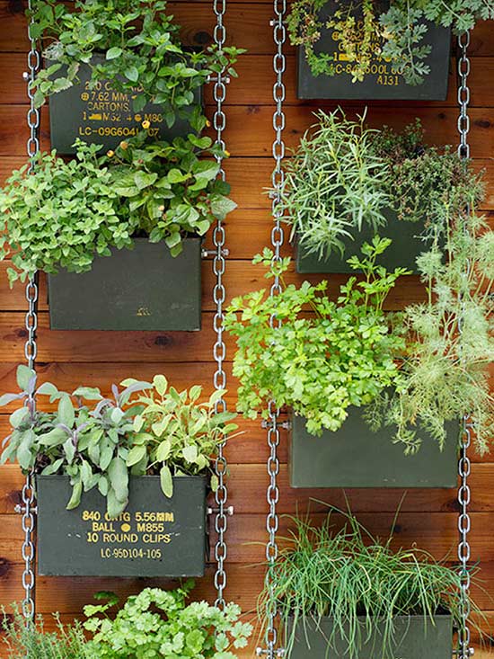pot plant wall