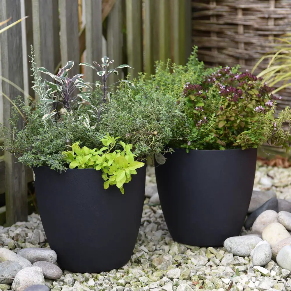 Simple Black Color Pots Design