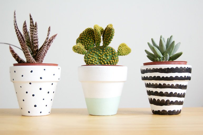 Simple Plant Pots Design