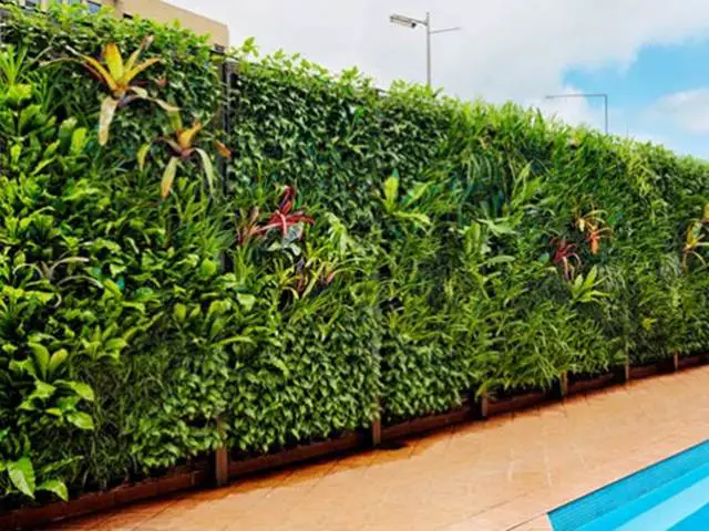 Vertical Garden Near Swimming Pool Design