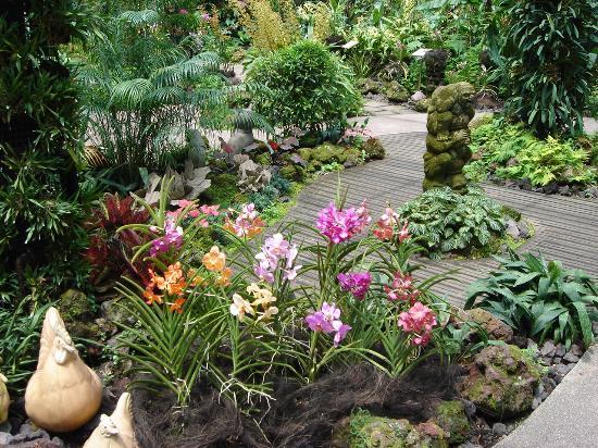 best orchid style garden