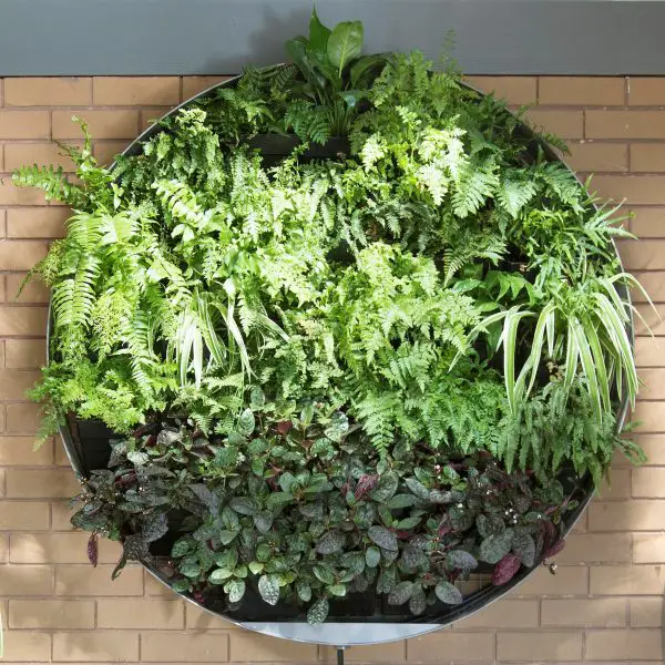 blind vertical garden design ideas