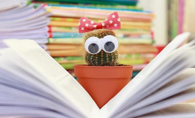 cactus book flower pot read scratchy knowledge literature education