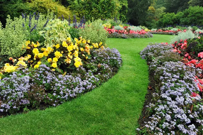 flower bed inspiration