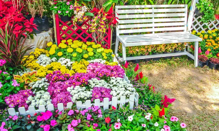 flower garden ideas