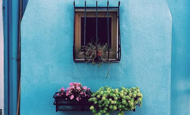 flowers basket pots window bars blue wall house