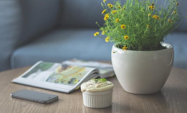 flowers pot flowerpot floral spring