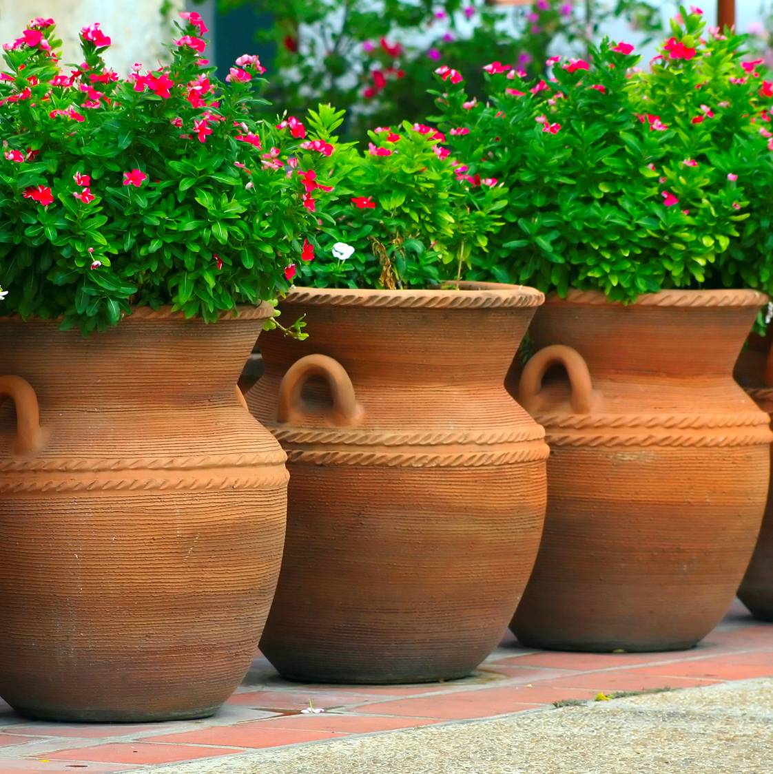 Large Planter Garden and Terrace Pots Ideas