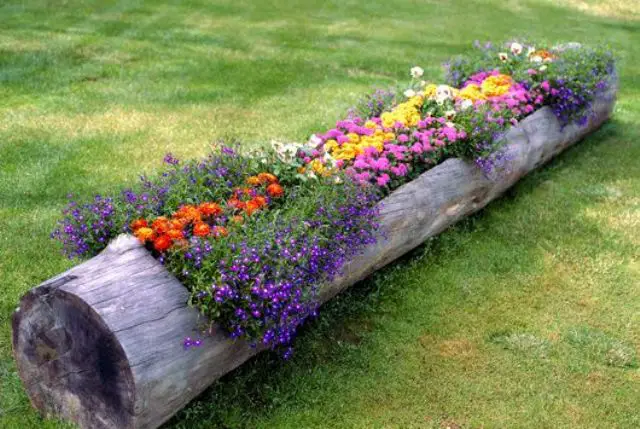 log garden bed ideas