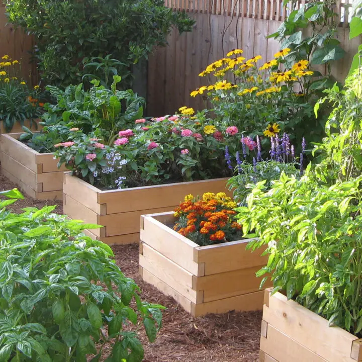 natural raised garden beds