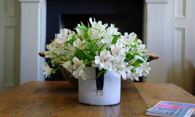 plant pot flower potted flowerpot fresh white flora home