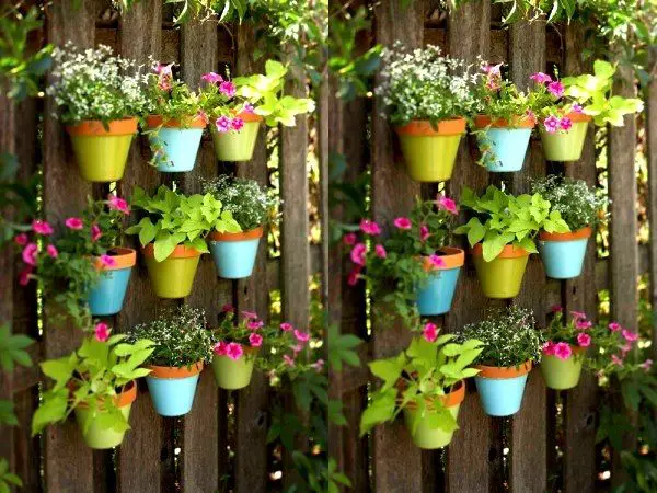 pot plant pots