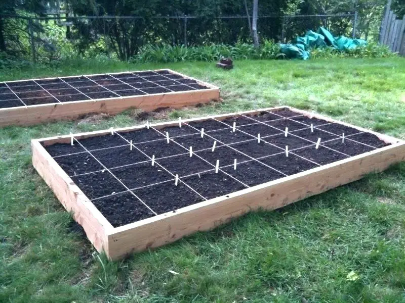 raised bed gardening