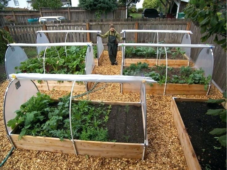 raised bed vegetable gardening and soil