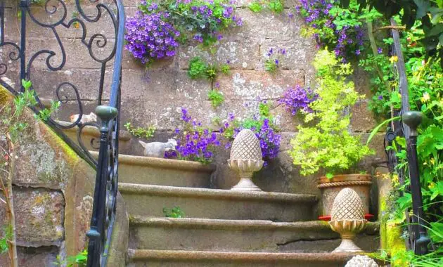 staircase old flowers flower pots summer flower pot nature decoration