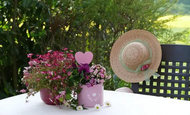 still life flower arrangement mother s day saxifrage kalanchoe heart spring potted flowers tender