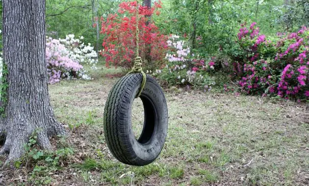 tire swing azaleas backyard