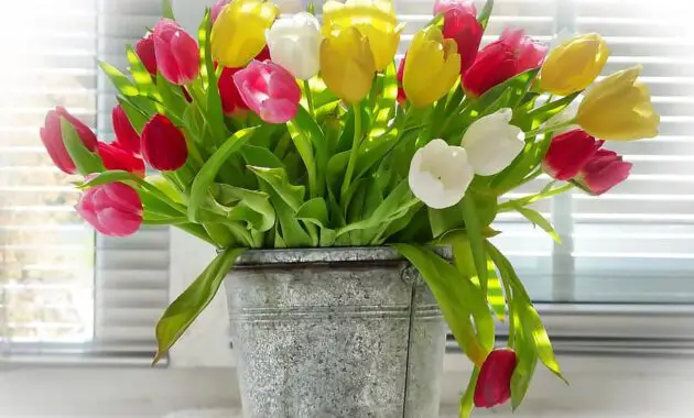 vase flower bouquet pot ornament tulips