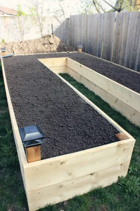 vegetable garden soil bed garden boxed