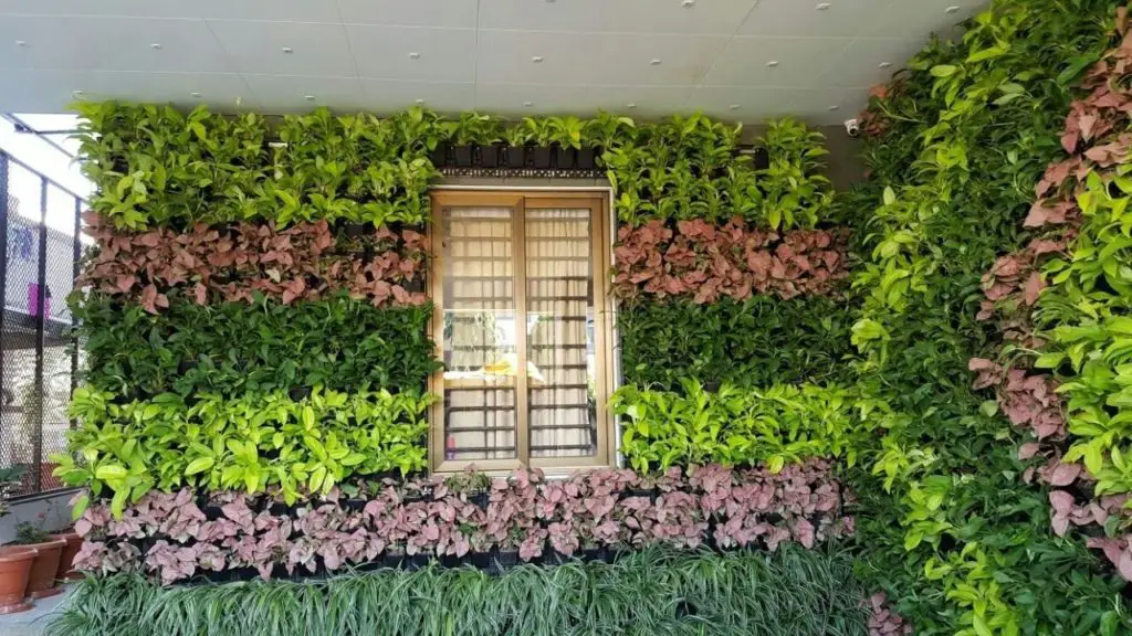 vertical garden front wall