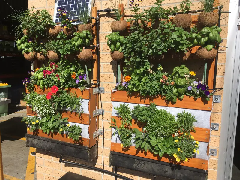 vertical garden wall idea