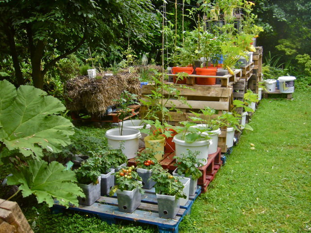 backyard garden ideas