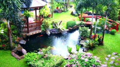 backyard ideas