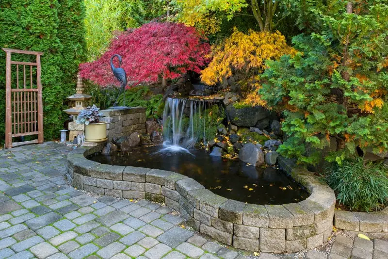 backyard waterfall and pond