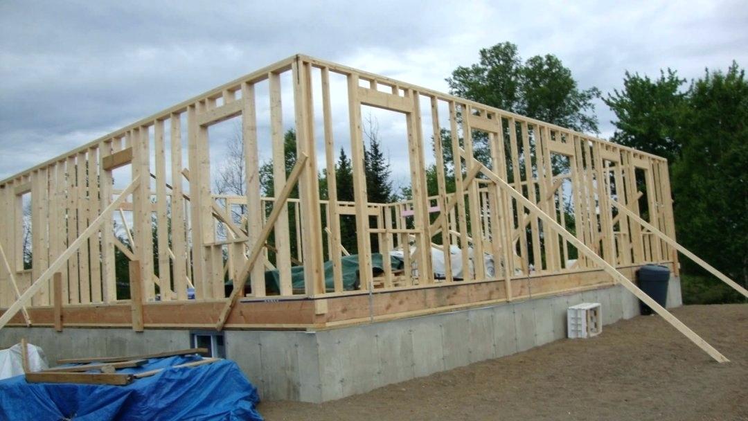 budget build backyard cabin
