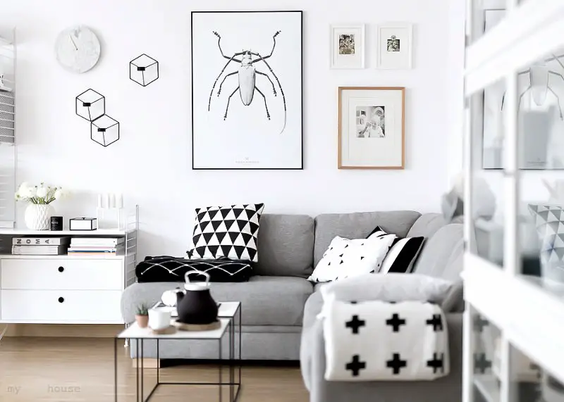 furniture with monochrome