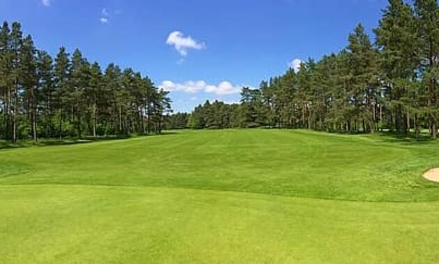 golf green fairway forest trees golf club worpswede golf course