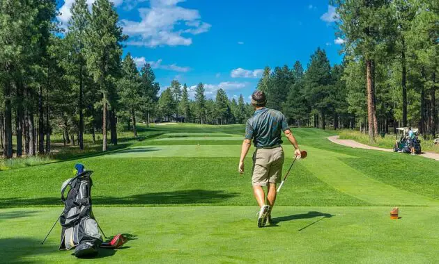 golfer golf course golfing player male