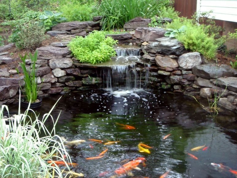 simple waterfall and fish pond