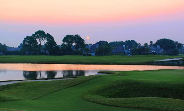 sunset over the golf course grass golf course summer