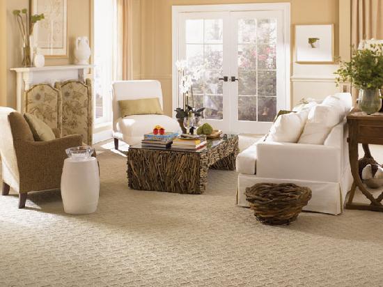 wide and large floor carpet for living room