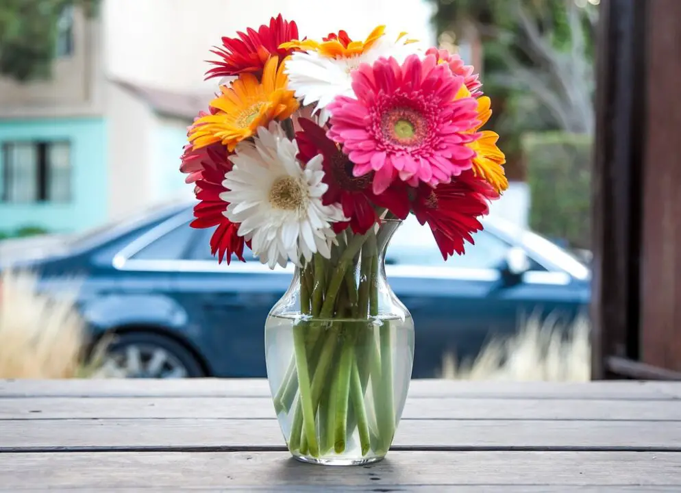 House of Flowers Simple Ways To Decorate Beautiful House with Flowers