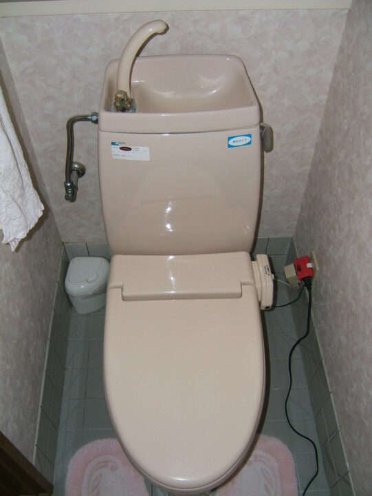 one piece toilet japanese style